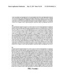 POLYNUCLEOTIDES ENCODING MUTANT HYDROLASE PROTEINS WITH ENHANCED KINETICS     AND FUNCTIONAL EXPRESSION diagram and image