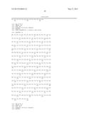 POLYNUCLEOTIDES ENCODING MUTANT HYDROLASE PROTEINS WITH ENHANCED KINETICS     AND FUNCTIONAL EXPRESSION diagram and image