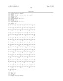 POLYNUCLEOTIDES ENCODING MUTANT HYDROLASE PROTEINS WITH ENHANCED KINETICS     AND FUNCTIONAL EXPRESSION diagram and image