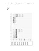 METHOD FOR PRODUCING SOLUBLE FcR AS Fc-FUSION WITH INERT IMMUNOGLOBULIN     Fc-REGION AND USES THEREOF diagram and image