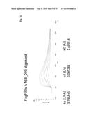 METHOD FOR PRODUCING SOLUBLE FcR AS Fc-FUSION WITH INERT IMMUNOGLOBULIN     Fc-REGION AND USES THEREOF diagram and image