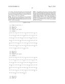 METHOD FOR PRODUCING SOLUBLE FcR AS Fc-FUSION WITH INERT IMMUNOGLOBULIN     Fc-REGION AND USES THEREOF diagram and image