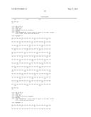 METHOD FOR PRODUCING SOLUBLE FcR AS Fc-FUSION WITH INERT IMMUNOGLOBULIN     Fc-REGION AND USES THEREOF diagram and image