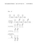 TARGET AFFINITY MATERIAL INCLUDING BIODEGRADABLE POLYMER AND USE THEREOF diagram and image