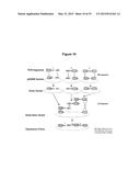 MASSIVELY PARALLEL COMBINATORIAL GENETICS diagram and image