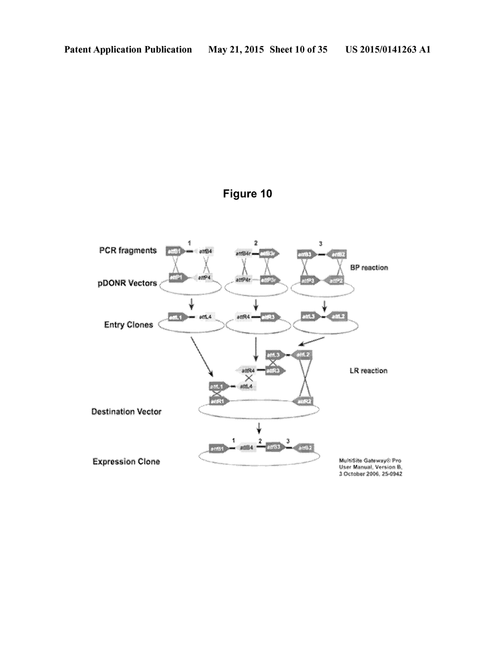 MASSIVELY PARALLEL COMBINATORIAL GENETICS - diagram, schematic, and image 11