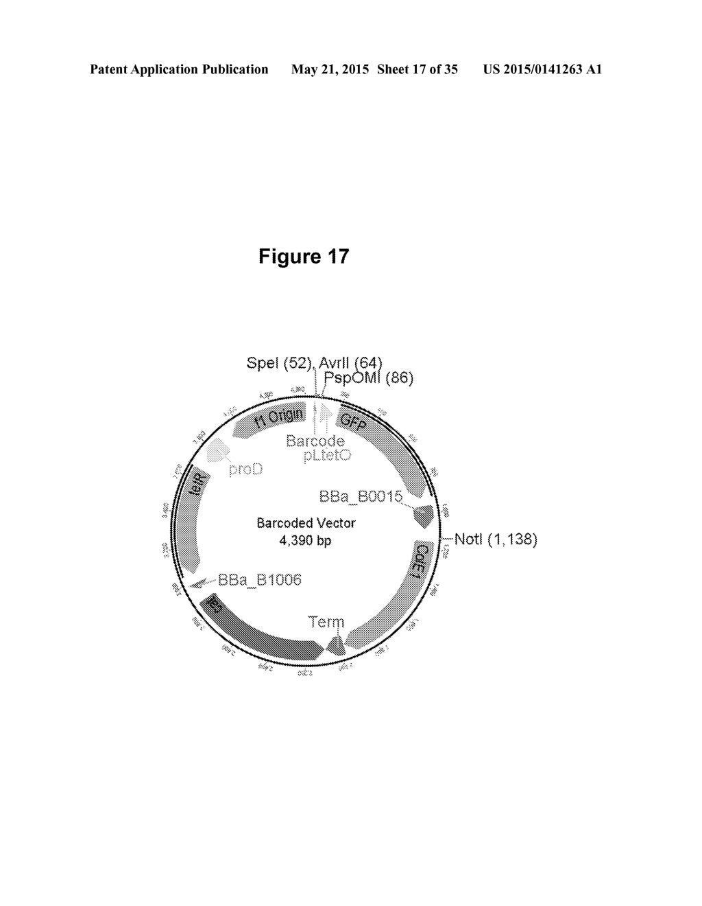 MASSIVELY PARALLEL COMBINATORIAL GENETICS - diagram, schematic, and image 18