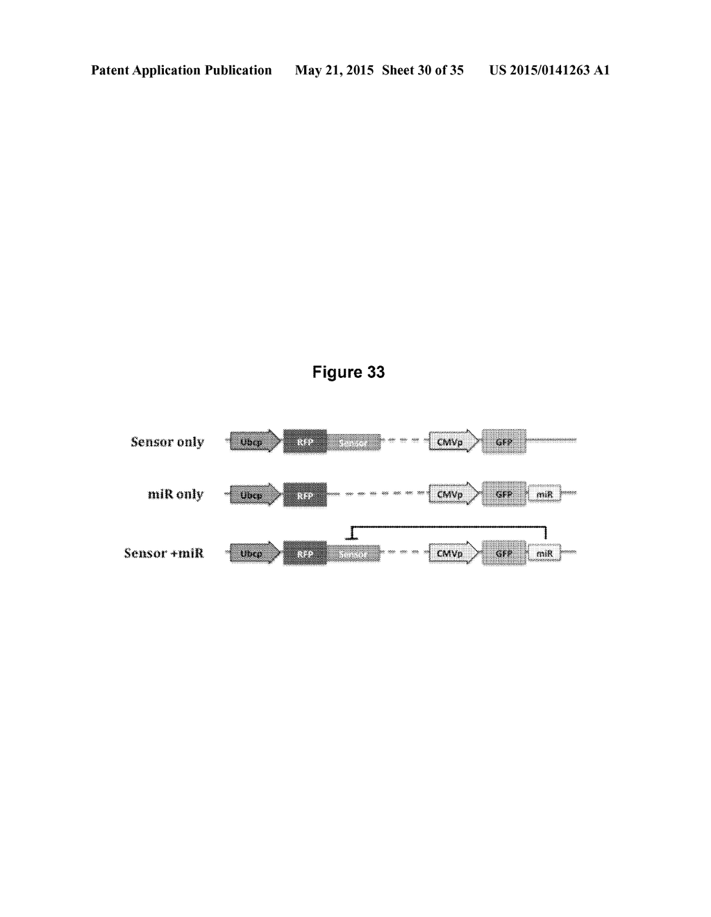 MASSIVELY PARALLEL COMBINATORIAL GENETICS - diagram, schematic, and image 31