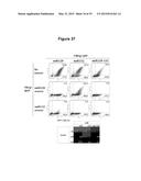 MASSIVELY PARALLEL COMBINATORIAL GENETICS diagram and image