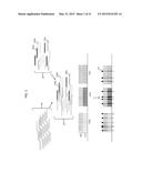 DIGITAL COUNTING OF INDIVIDUAL MOLECULES BY STOCHASTIC ATTACHMENT OF     DIVERSE LABELS diagram and image