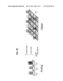 DIGITAL COUNTING OF INDIVIDUAL MOLECULES BY STOCHASTIC ATTACHMENT OF     DIVERSE LABELS diagram and image