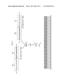 DIGITAL COUNTING OF INDIVIDUAL MOLECULES BY STOCHASTIC ATTACHMENT OF     DIVERSE LABELS diagram and image