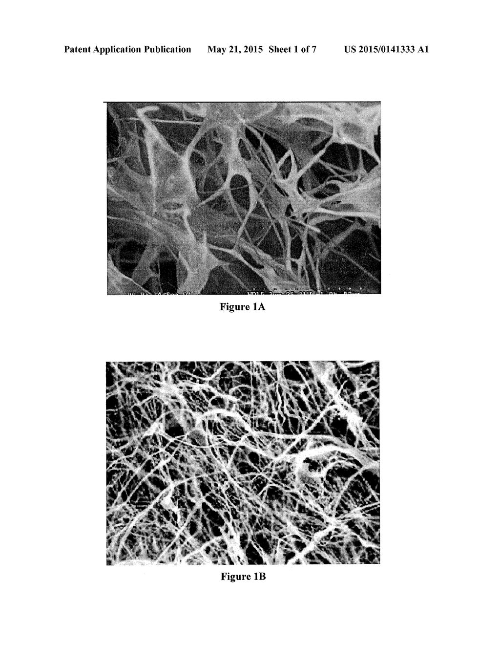 KERATIN BIOCERAMIC COMPOSITIONS - diagram, schematic, and image 02