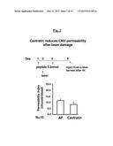 METHOD OF TREATING AND PREVENTING OCULAR ANGIOGENESIS diagram and image