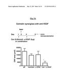 METHOD OF TREATING AND PREVENTING OCULAR ANGIOGENESIS diagram and image