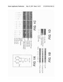 COMPOSITIONS INCLUDING TRICIRIBINE AND BORTEZOMIB AND DERIVATIVES THEREOF     AND METHODS OF USE THEREOF diagram and image