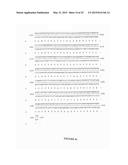 COMPOSITIONS INCLUDING TRICIRIBINE AND BORTEZOMIB AND DERIVATIVES THEREOF     AND METHODS OF USE THEREOF diagram and image