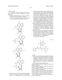 COMPOSITIONS INCLUDING TRICIRIBINE AND BORTEZOMIB AND DERIVATIVES THEREOF     AND METHODS OF USE THEREOF diagram and image