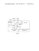 EFFICIENT PRODUCTION OF OLIGOSACCHARIDES USING METABOLICALLY ENGINEERED     MICROORGANISMS diagram and image