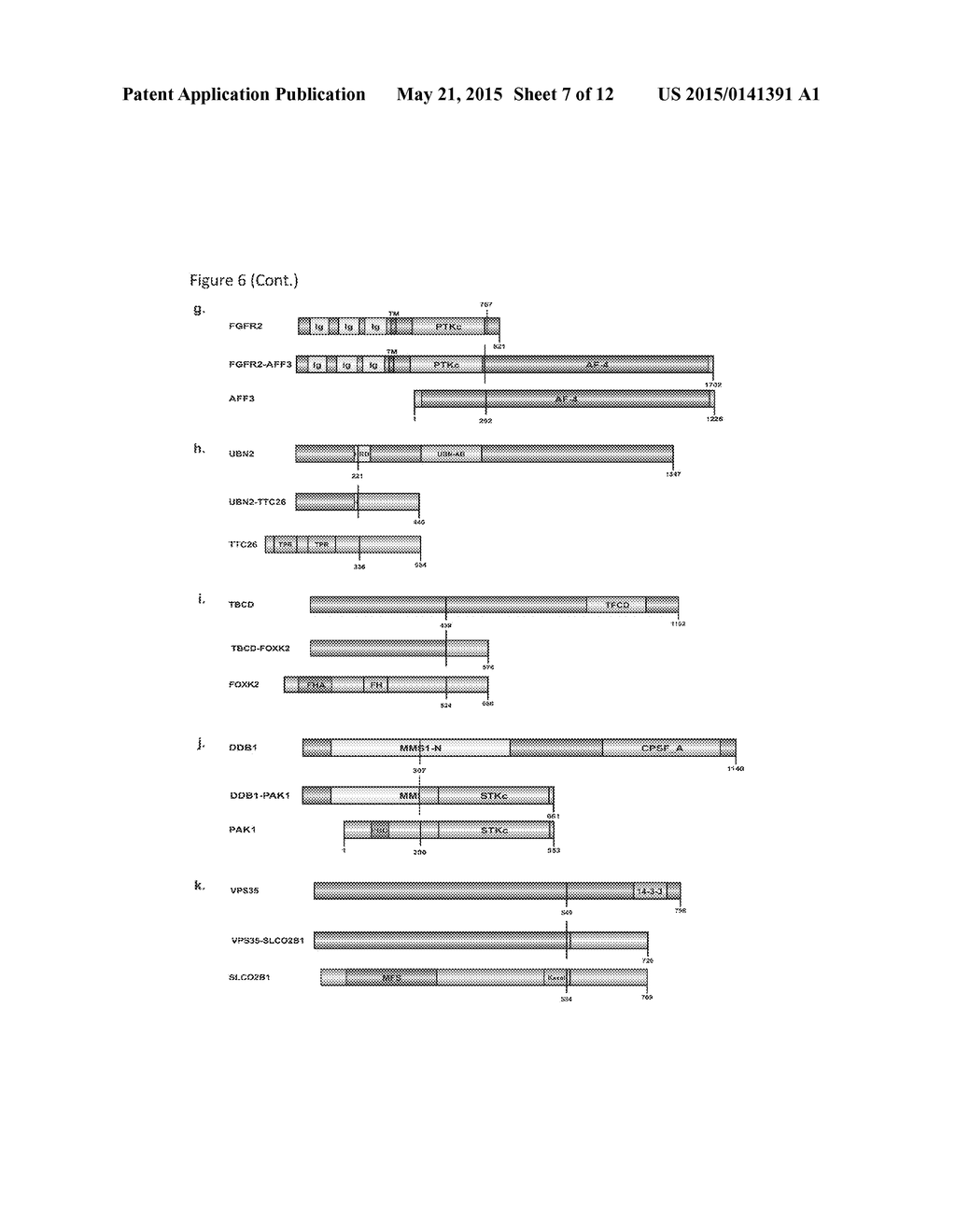 SYSTEMS AND METHODS FOR DETERMINING A TREATMENT COURSE OF ACTION - diagram, schematic, and image 08