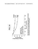 METHODS OF TREATING TRAVELER S DIARRHEA AND HEPATIC ENCEPHALOPATHY diagram and image