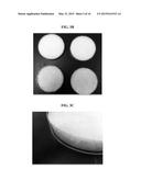 SILICA AEROGEL COMPOSITE diagram and image