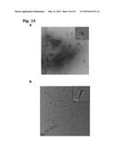 THERMOPLASTIC ELASTOMERS CONTAINING AN OLIGOPEPTIDE HARD COMPONENT diagram and image