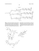 Anti-CD70 Antibody Drug Conjugates diagram and image