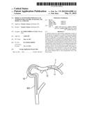 MEDICAL SYSTEM FOR ENDOVASCULAR TEMPERATURE CONTROL OF BLOOD, AND MEDICAL     CATHETER diagram and image