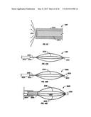 METHODS FOR TREATING A LUNG diagram and image