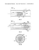 METHODS FOR TREATING A LUNG diagram and image