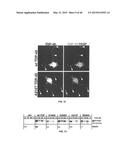 Methods And Compositions Comprising A Drosophila Model Of Amyotrophic     Lateral Sclerosis diagram and image