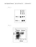 COMPOSITION FOR INDUCING PROLIFERATION OR ACCUMULATION OF REGULATORY T     CELLS diagram and image