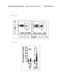 COMPOSITION FOR INDUCING PROLIFERATION OR ACCUMULATION OF REGULATORY T     CELLS diagram and image