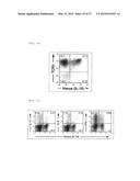 COMPOSITION FOR INDUCING PROLIFERATION OR ACCUMULATION OF REGULATORY T     CELLS diagram and image