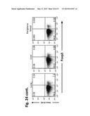 COMPOSITION FOR INDUCING PROLIFERATION OR ACCUMULATION OF REGULATORY T     CELLS diagram and image