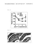 COMPOSITION FOR INDUCING PROLIFERATION OR ACCUMULATION OF REGULATORY T     CELLS diagram and image