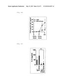 COMPOSITION FOR INDUCING PROLIFERATION OR ACCUMULATION OF REGULATORY T     CELLS diagram and image