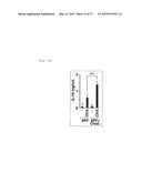 COMPOSITION FOR INDUCING PROLIFERATION OR ACCUMULATION OF REGULATORY T     CELLS diagram and image