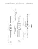 NON-HUMAN ANIMALS HAVING A HUMANIZED A PROLIFERATION-INDUCING LIGAND GENE diagram and image