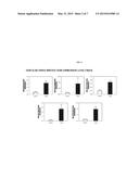 Biomass Production Increasing Gene And Transgenic Plant Using Same diagram and image