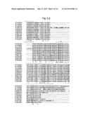 GENE FOR INCREASING THE PRODUCTION OF PLANT BIOMASS AND/OR SEEDS AND     METHOD FOR USE THEREOF diagram and image