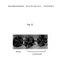 GENE FOR INCREASING THE PRODUCTION OF PLANT BIOMASS AND/OR SEEDS AND     METHOD FOR USE THEREOF diagram and image