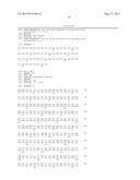 GENE FOR INCREASING THE PRODUCTION OF PLANT BIOMASS AND/OR SEEDS AND     METHOD FOR USE THEREOF diagram and image