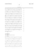 GENE FOR INCREASING THE PRODUCTION OF PLANT BIOMASS AND/OR SEEDS AND     METHOD FOR USE THEREOF diagram and image