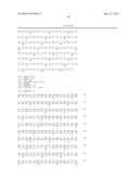 GENE FOR INCREASING THE PRODUCTION OF PLANT BIOMASS AND/OR SEEDS AND     METHOD FOR USE THEREOF diagram and image