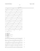 GENE FOR INCREASING THE PRODUCTION OF PLANT BIOMASS AND/OR SEEDS AND     METHOD FOR USE THEREOF diagram and image