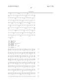 GENE FOR INCREASING THE PRODUCTION OF PLANT BIOMASS AND/OR SEEDS AND     METHOD FOR USE THEREOF diagram and image