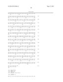 GENE FOR INCREASING THE PRODUCTION OF PLANT BIOMASS AND/OR SEEDS AND     METHOD FOR USE THEREOF diagram and image