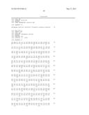 GENE FOR INCREASING THE PRODUCTION OF PLANT BIOMASS AND/OR SEEDS AND     METHOD FOR USE THEREOF diagram and image